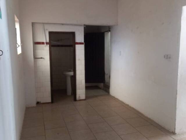 Sala para Locação em Montenegro - 5