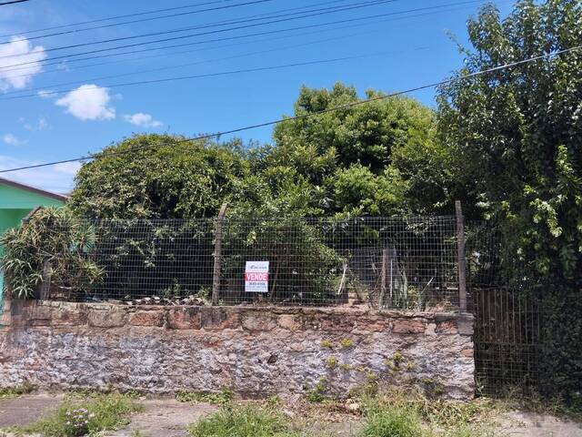 #ter019 - Terreno para Venda em Montenegro - RS - 1