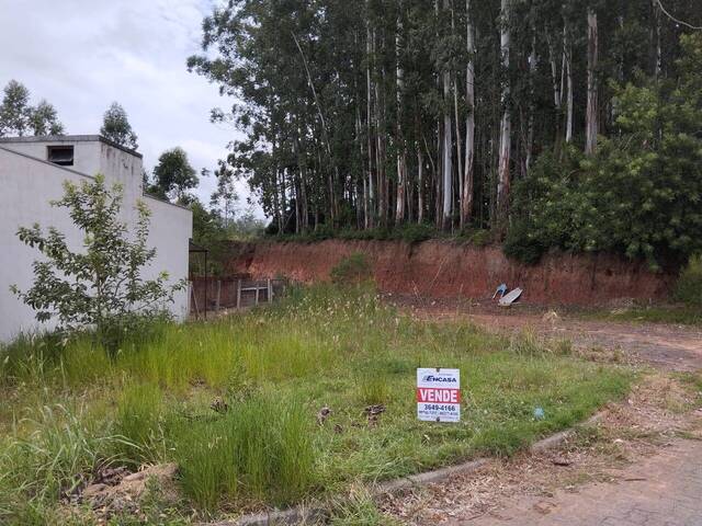 #ter032 - Terreno para Venda em Montenegro - RS - 2