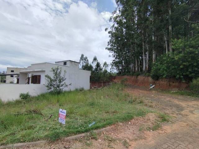 #ter032 - Terreno para Venda em Montenegro - RS - 1