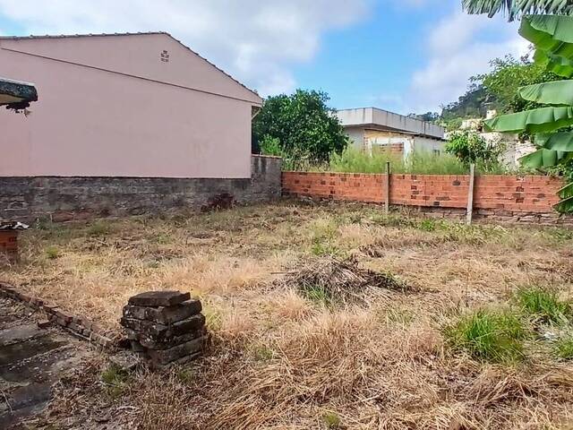 Casa para Venda em Montenegro - 5