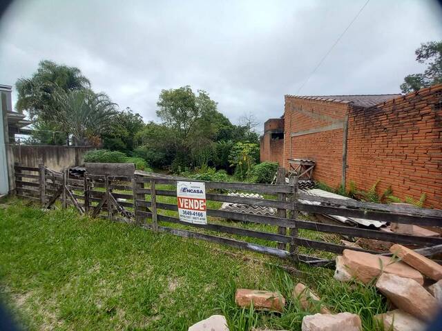 #ter132 - Terreno para Venda em Montenegro - RS - 1